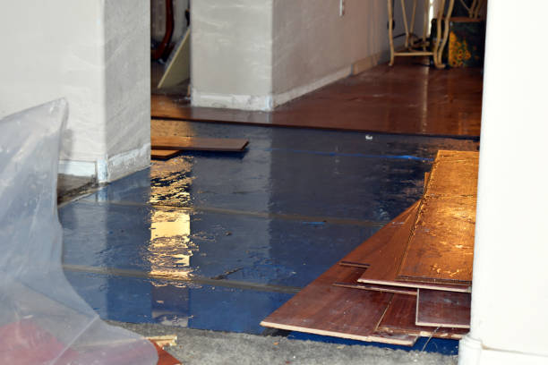 Professional Flood Damage Repair technician working in Newfield, ME
